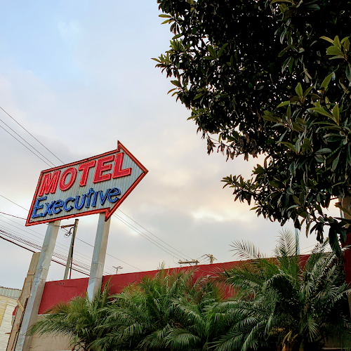 Motel Executive